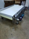Allen Industrial Services 41" wide belt Conveyor