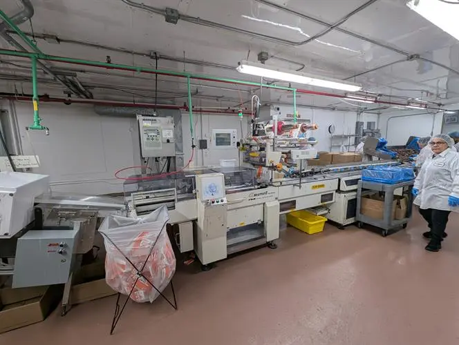 Fuji Flow Wrapper with AutoFeed System for Chocolates