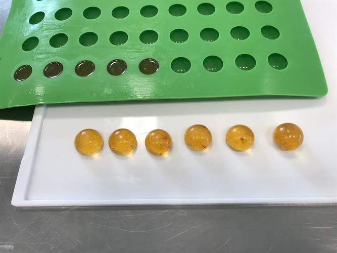 Awema Micro100 Gummy Depositor Processing + Packaging Equipment