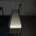 10" wide Sanitary Belt Conveyor