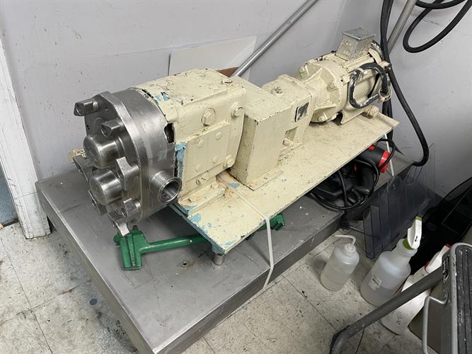 Waukesha model 30 Stainless Steel Positive Displacement Pump
