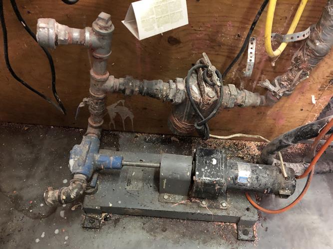 Woody 24” Double Loop Stringer with Pump