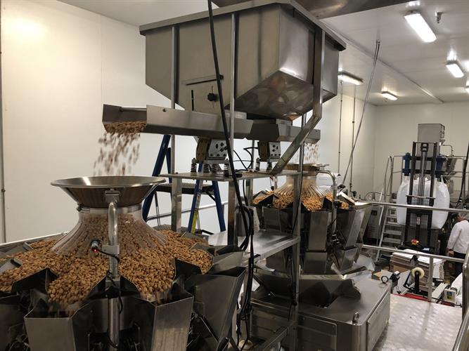 Dual Bagging System with Dual 10-Head Rotary Scales