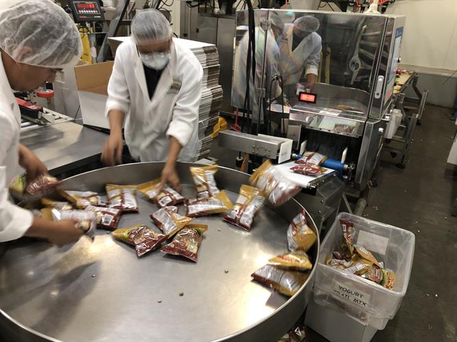 Dual Bagging System with Dual 10-Head Rotary Scales